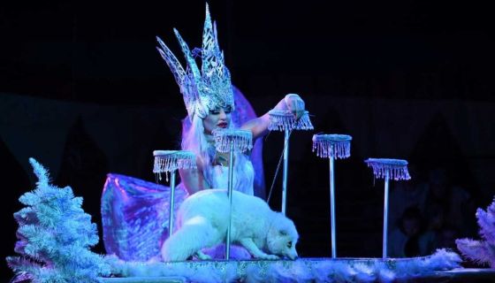 Цирк «Принцесса и Лабубу», Ухта