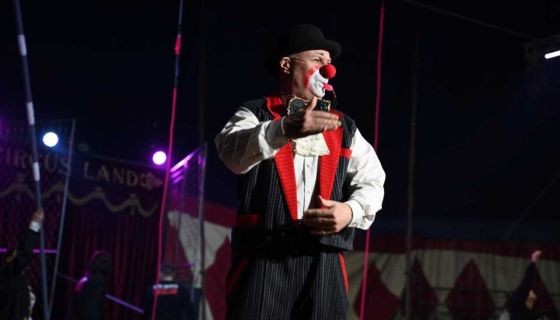 Цирк «Принцесса и Лабубу», Выльгорт