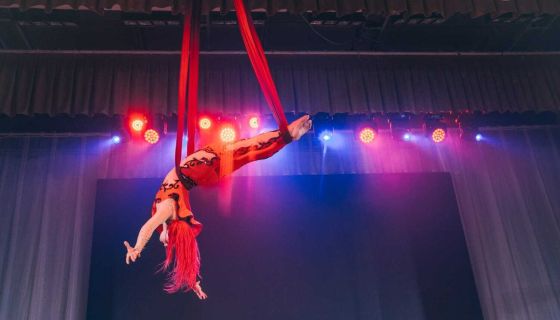 Цирк «Принцесса и Лабубу», Выльгорт